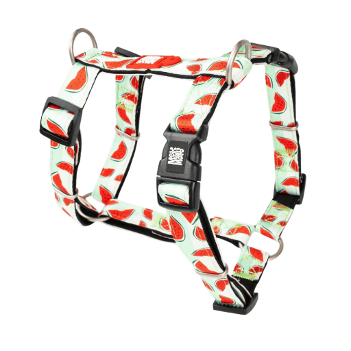 Max & Molly Harnais H pour chien - Watermelon – Image 2